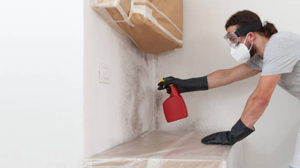 Professional Black Mold Remediation technician working in Cherry Hill, VA