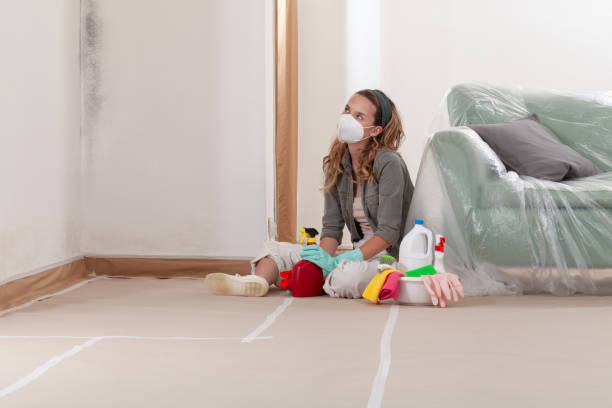 Reliable Black Mold Remediation contractor in Cherry Hill, VA by Car Mold Remediation